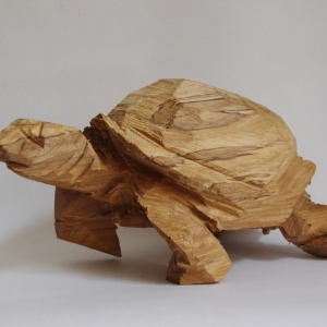 Sägewesen - Babyschildkröte - Elsa Nietmann