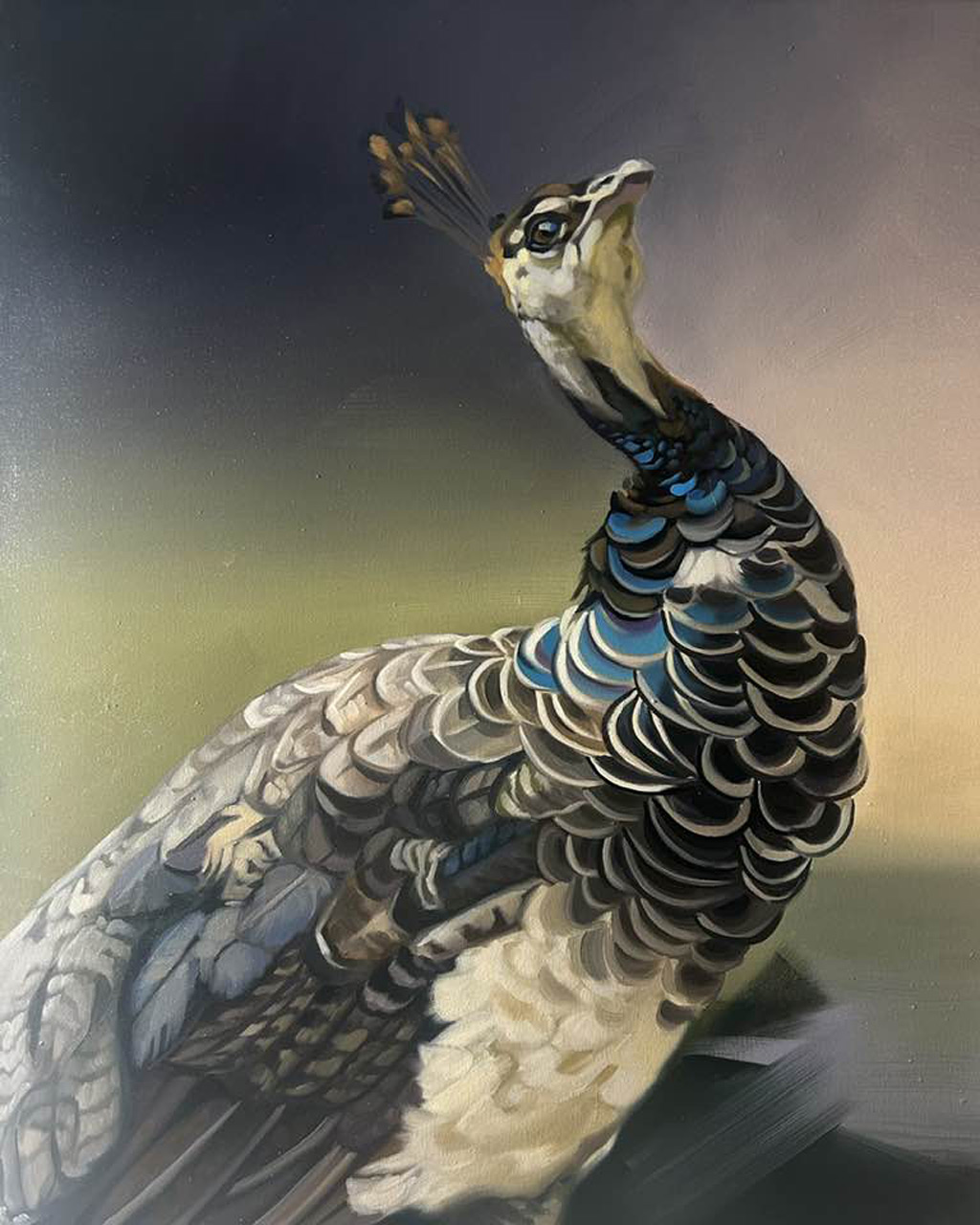 Bild von Hanne Kroll mit einem Pfau
