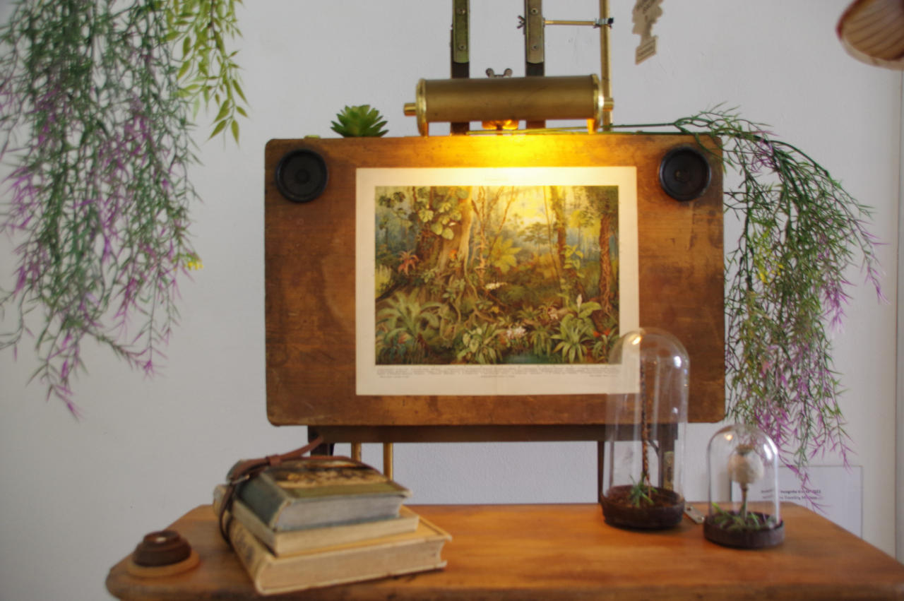 Urwaldbild, Bücher und Pflanzen an der Maschine Terra Incognita Isolata - Home Travelling Machine, von C.A. Cobdak