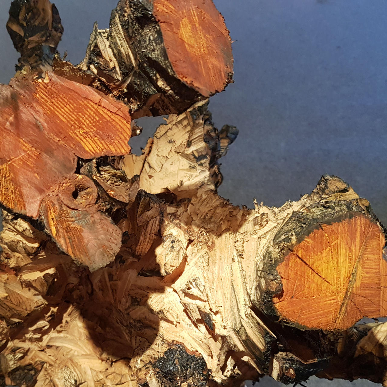 Holzskulptur Tanz ohne Titel von Elsa Nietmann