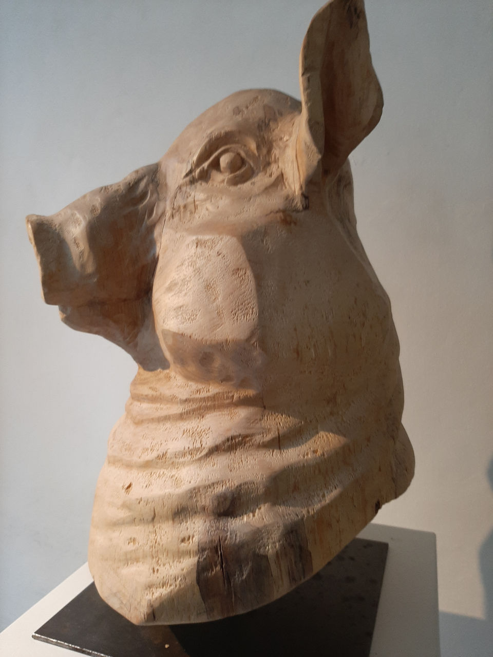 Schweinekopf, Büste aus gestocktem Lindenholz, geschnitzt, geölt und gewachst