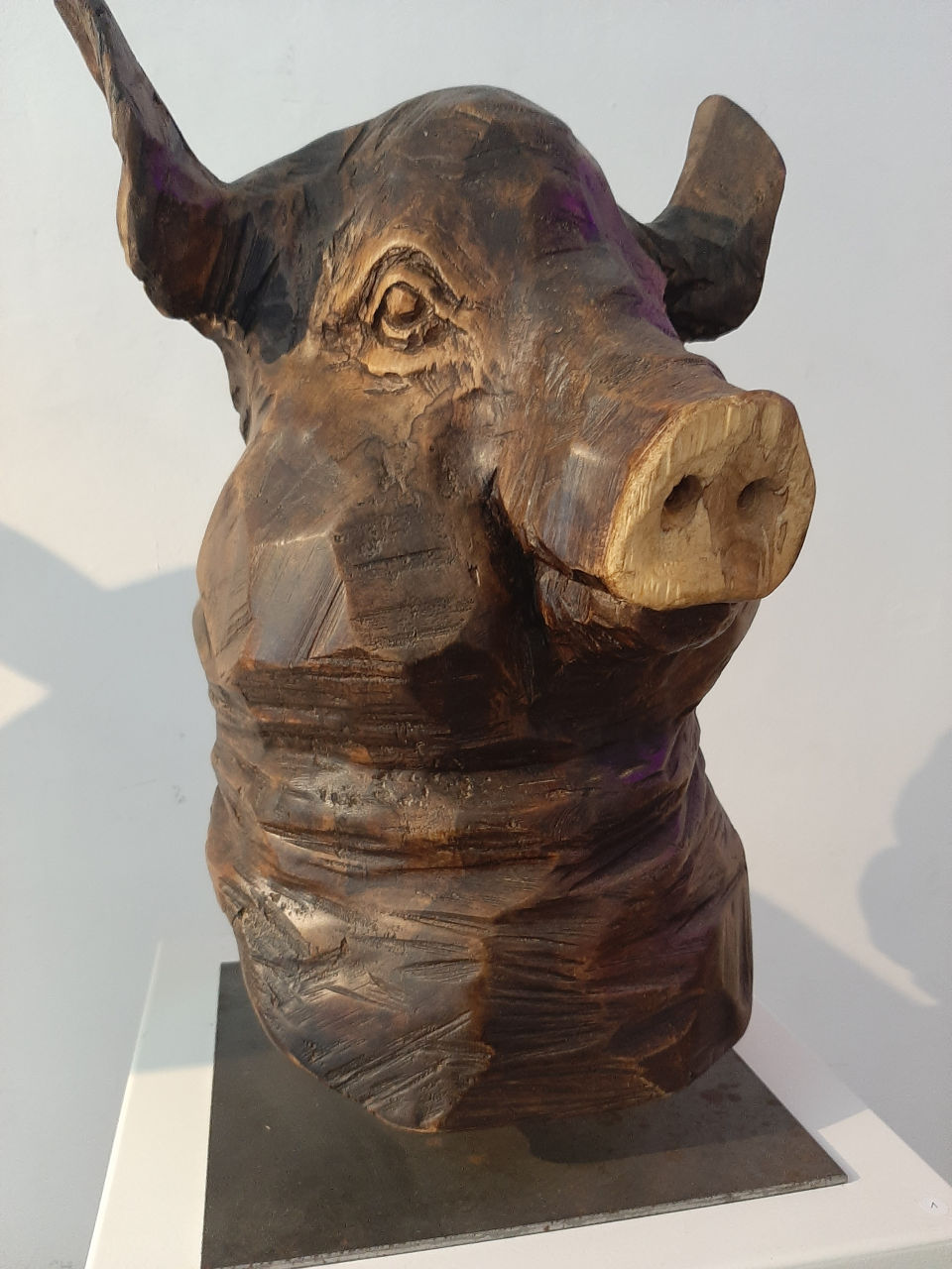 Schweinekopf, Büste aus gestocktem Lindenholz, geschnitzt, geölt und gewachst